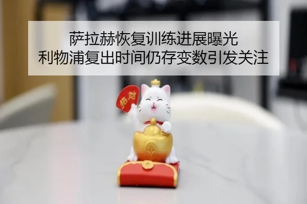 萨拉赫恢复训练进展曝光 利物浦复出时间仍存变数引发关注 - Xingkong